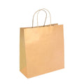 Medium Twist Handle Kraft Paper Bags - RPFR-120-M