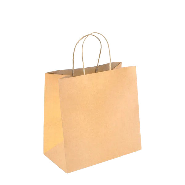 Small  Twist Handle Kraft Paper Bags - RPFR-120-S