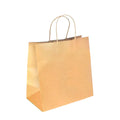 Large Twist Handle Kraft Paper Bags - RPRR-120-L