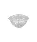 PET Rose Salad Bowl Combo 32oz - RSBC-32C